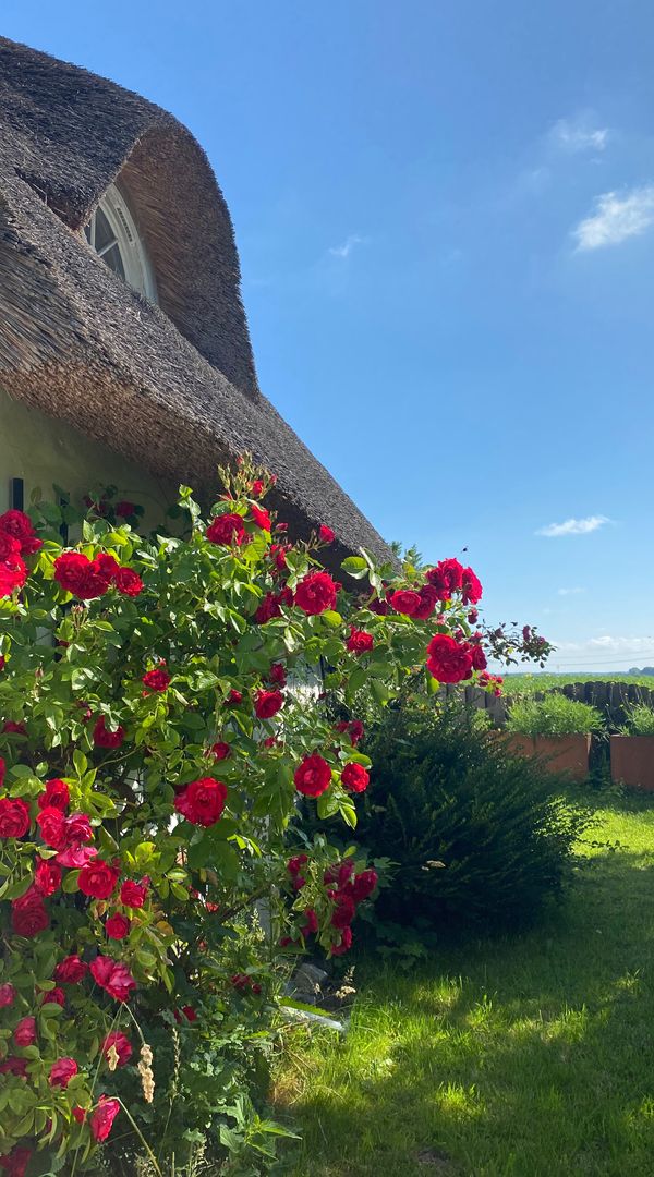 La maison de dagmar