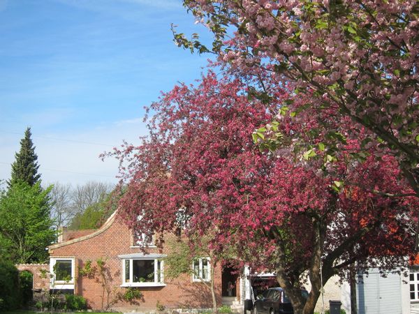 La maison de Malene
