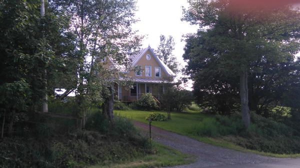 La belle des champs