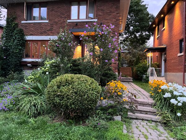La maison de Patrice à Montreal - avec PISCINE