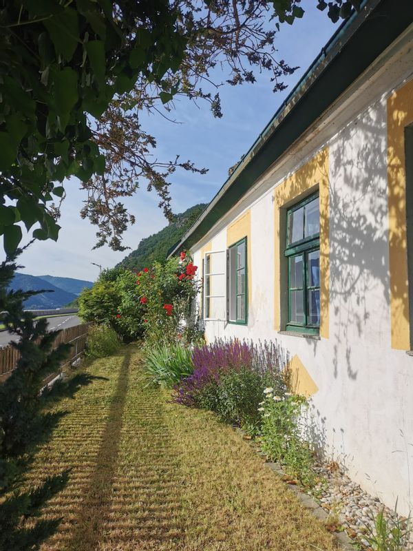 La maison de patrick