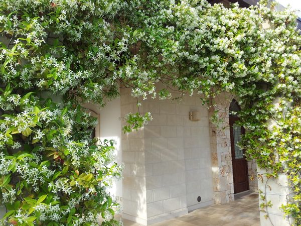 La maison de Giovanni Di Tano