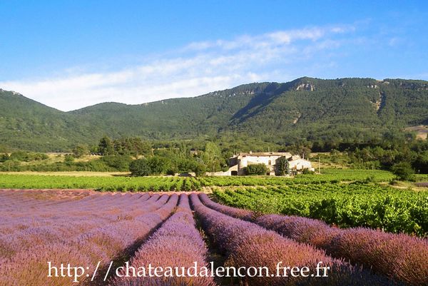 Une vie de château en Drôme provençale !