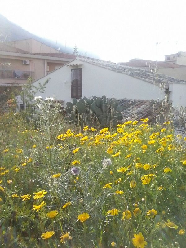 La maison de Gabriella