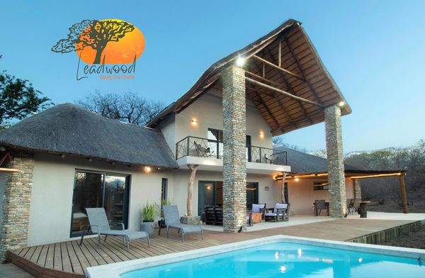 Leadwood Marloth, Wildlife on your doorstep    / Available for exchanges with Cape Town ONLY