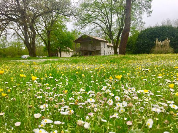 Maison en pierre avec piscine dans airial de 3 hectares clôturés