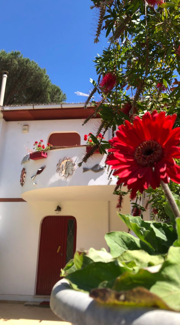 La maison de Daniela
