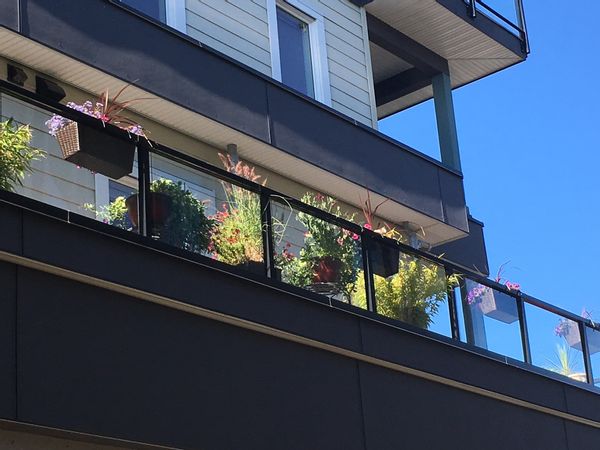 La maison de connie