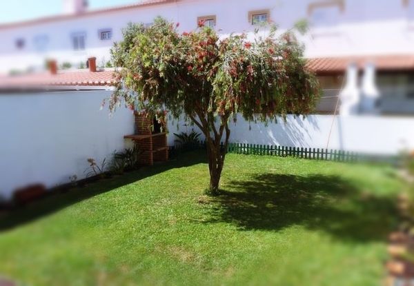 La maison de Adélia E Rui