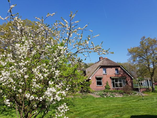 La maison de Janne