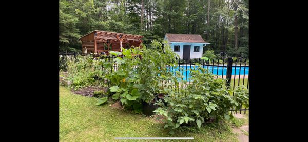 Maison paisible au milieu des arbres