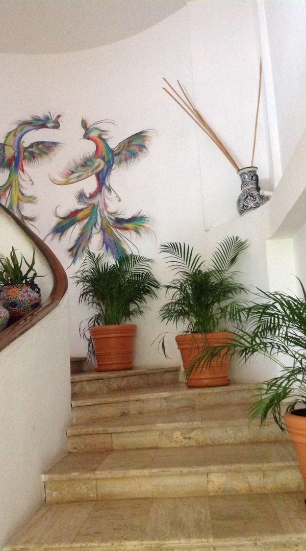 La maison de 