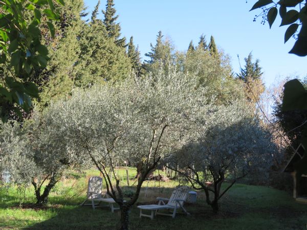 La maison de MONIQUE