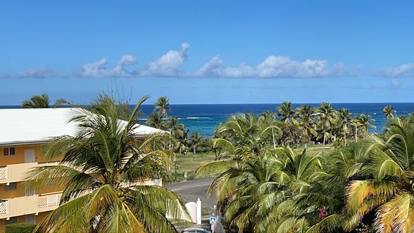 Un air de vacances dans les Caraïbes 102