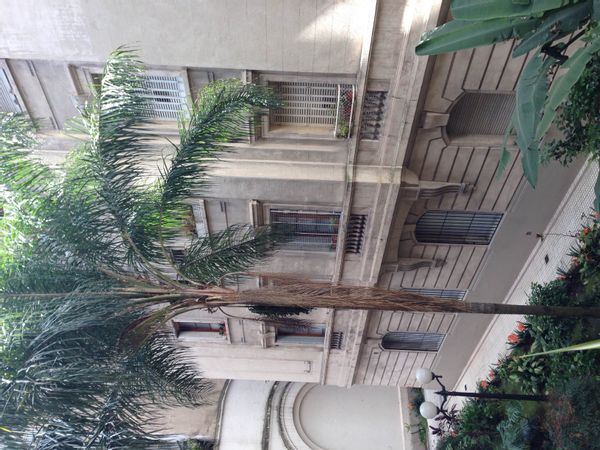 La maison de Gustavo