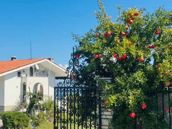 La maison de Miss N