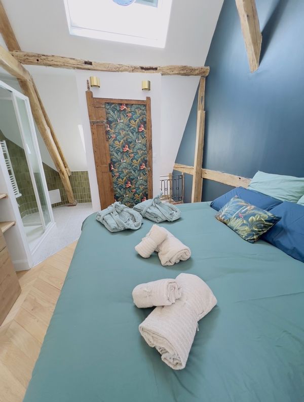 - Maison atypique avec piscine chauffée au centre de Rouen -