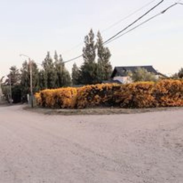 La maison de Vivian