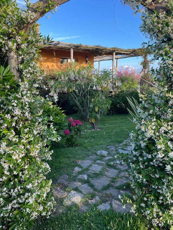 La maison de MONICA