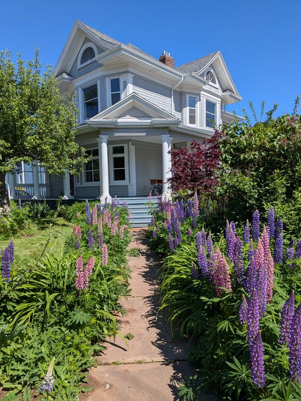 La maison de Maureen