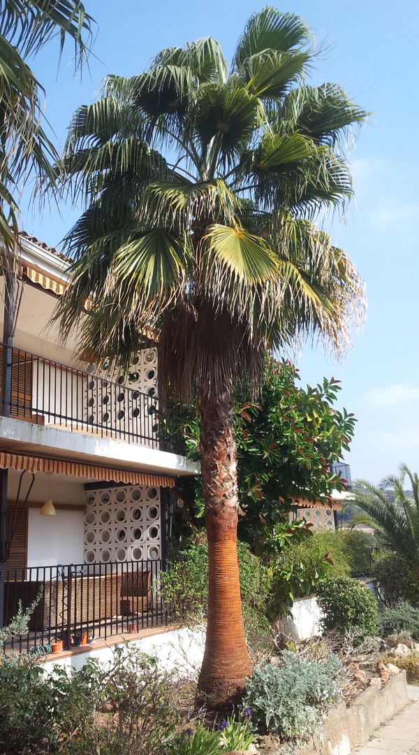 La maison de Eduardo y Virginia