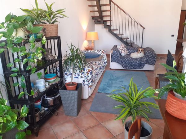 La maison de Vanessa