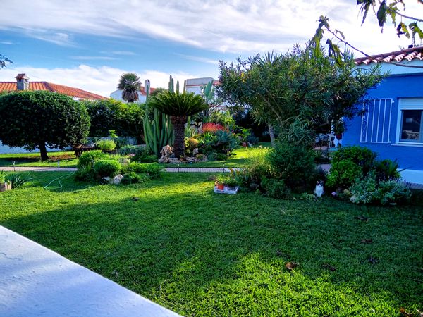 Jardin avec mouettes en Méditerrannée et maison à 30 pas de la mer.
