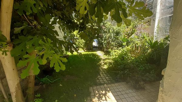 La maison d'Alexandra et Paul, Oasis de verdure dans la ville