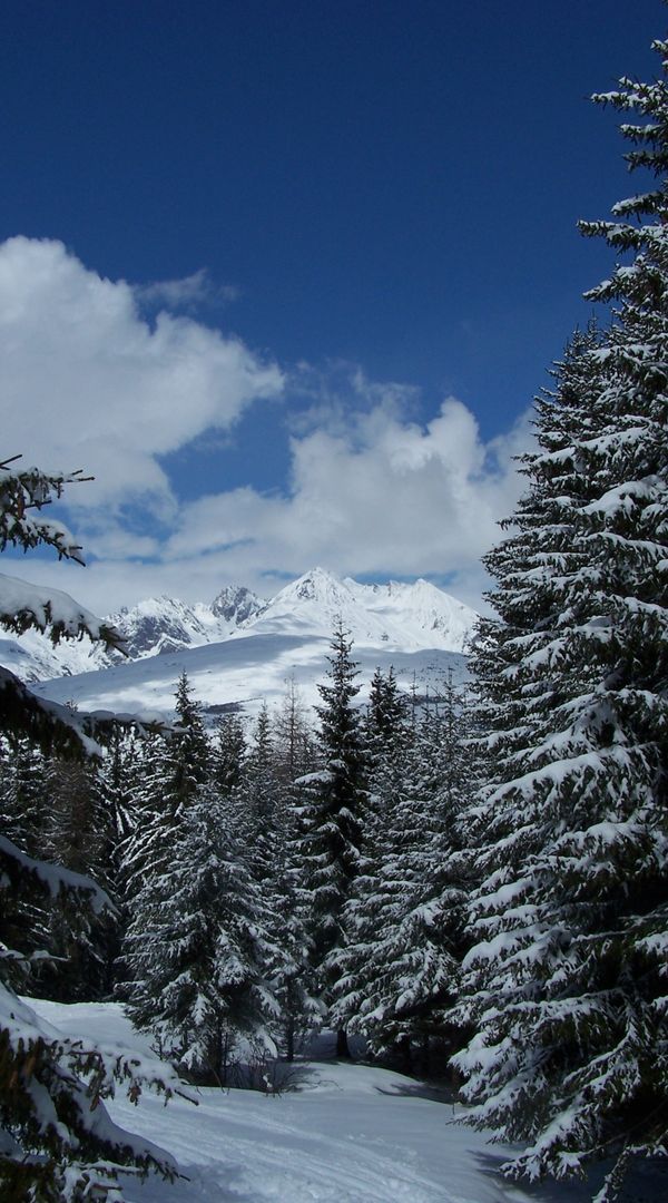 .Appartement au coeur du Paradiski , la Plagne, tarentaise. SEMAINE VACANCES SCOLAIRES DISPO 11/04