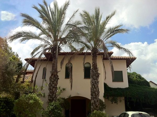 La maison de Arik