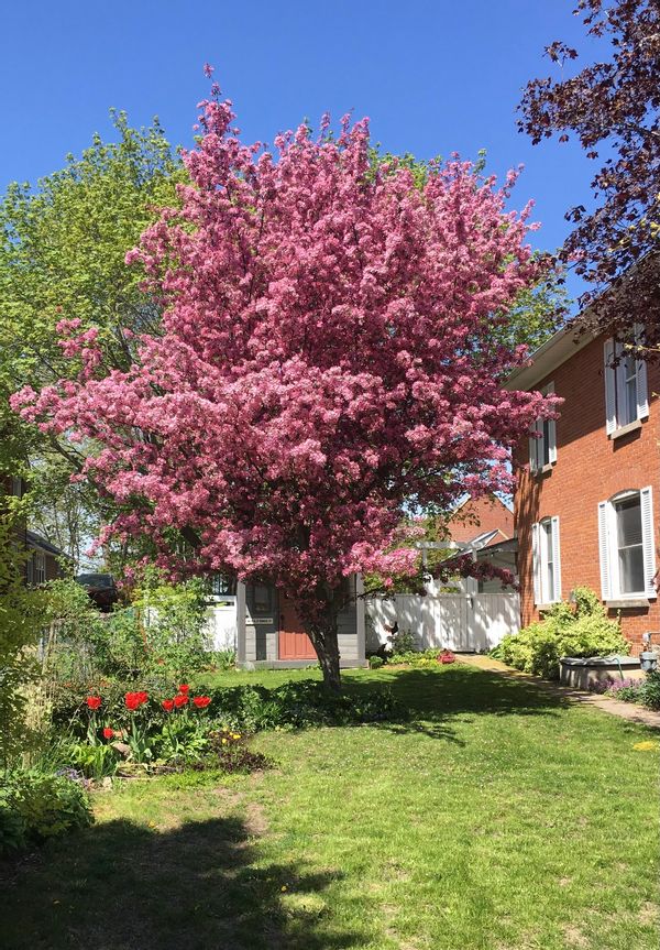 La maison de Paul and Carole