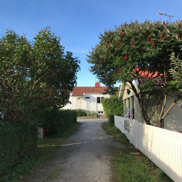 Charmante maison avec jardin, proche de la plage et du centre-ville.