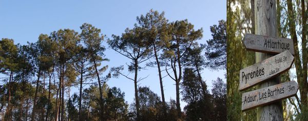 Bienvenue dans les Landes !