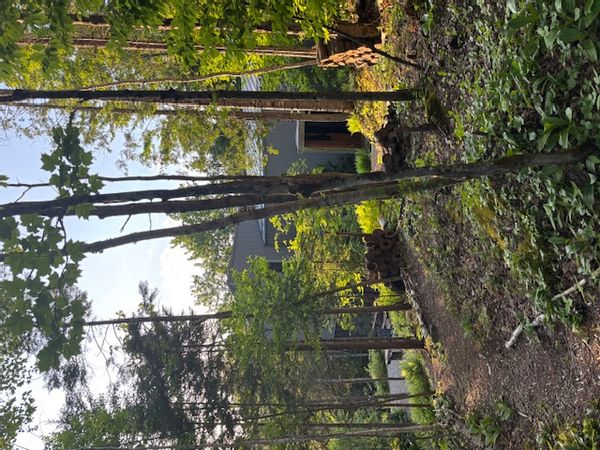 Chalet contemporain, forêt et rivière, à 1h15 de Montréal