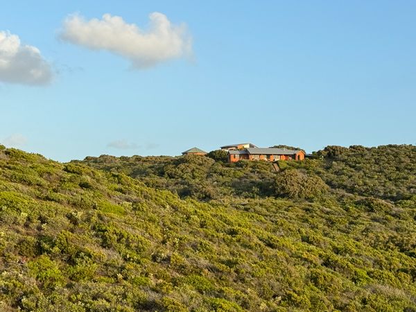 La maison de David