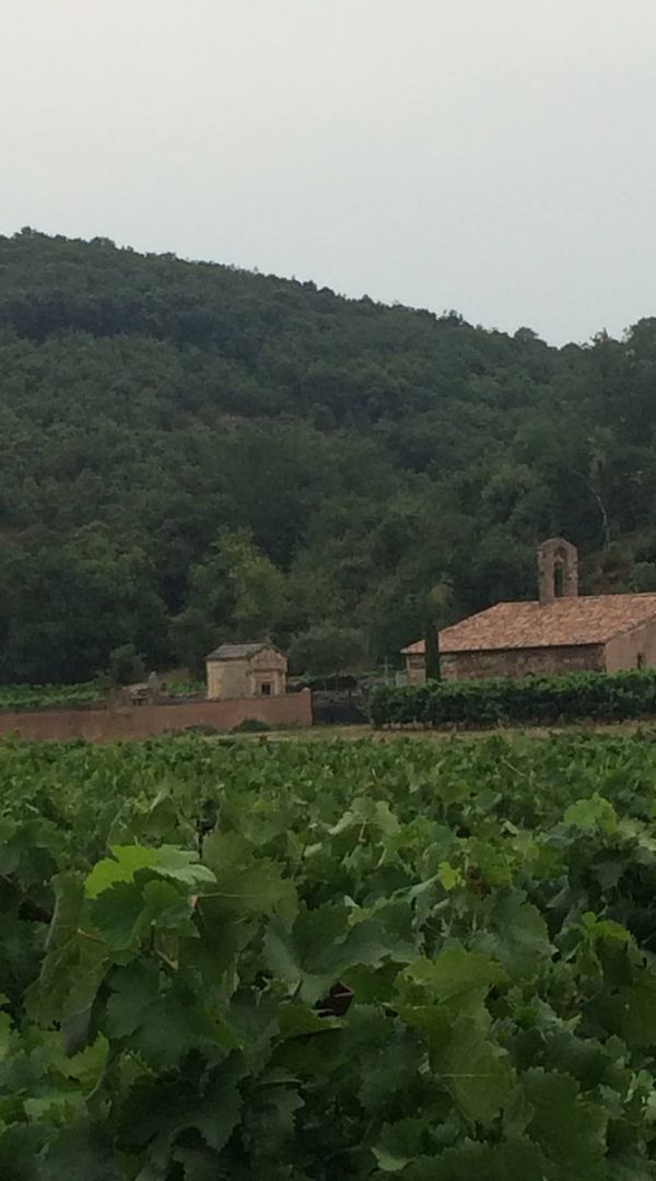 La maison de vivian