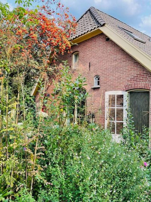 La maison de Ralph