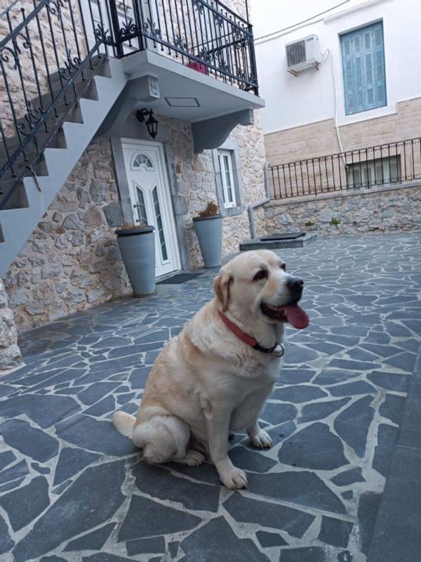 La maison de Dimitris and sis