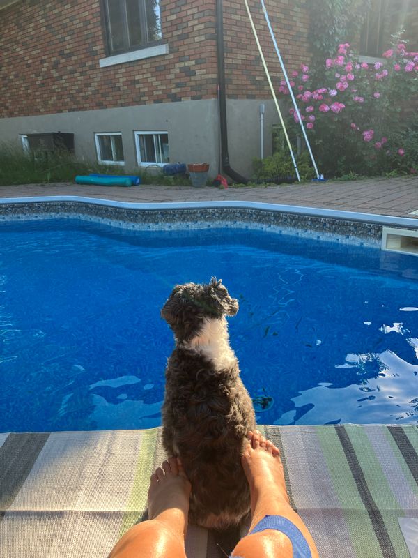 Maison lumineuse à Repentigny (Canada)+Jardin+Piscine creusée chauffée+parking+idéal télétravail.