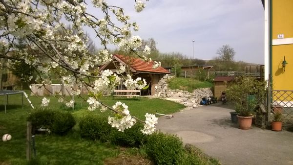 La maison de Daniela