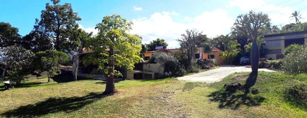 Le jardin des baobabs
