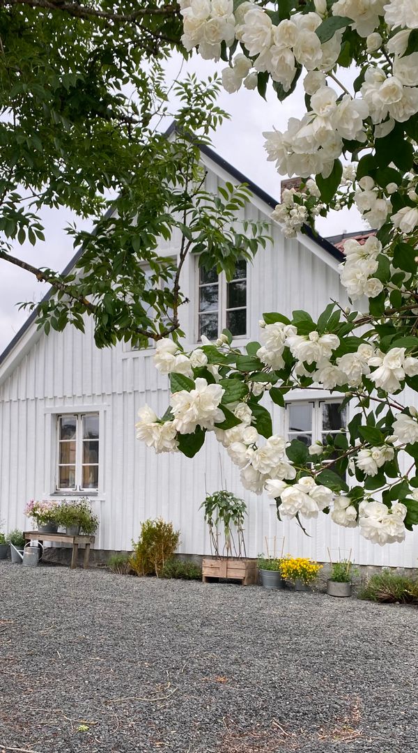 La maison de Soffia
