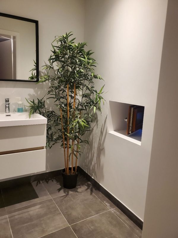 Petit appartement au calme, grand jardin au milieu de la forêt