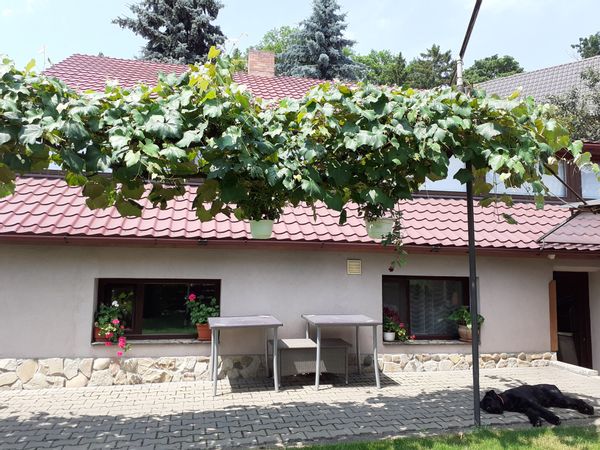 La maison de Monica & Ovidiu