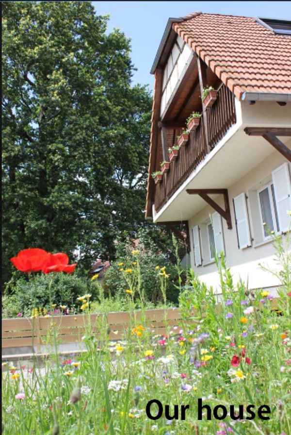 Maison en Alsace proche de Strasbourg, localisation idéale pour les visites et loisirs en famille