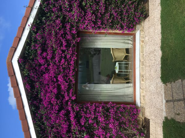 La maison de celia