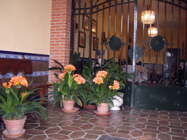 La maison de Antonio