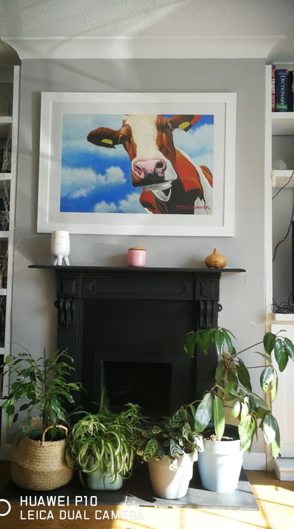 La maison de Roisin