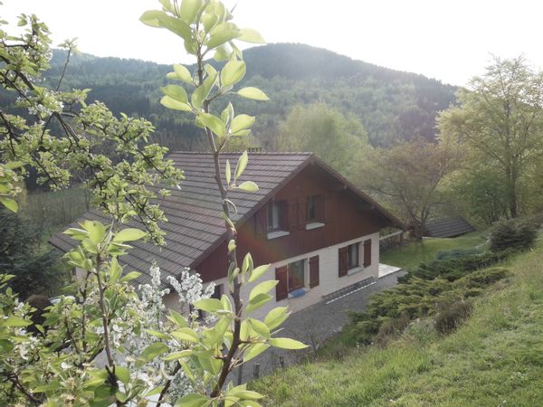 Hautes-Vosges notre maison avec piscine, rando, ski ou en Alsace appart sur la route des vins.