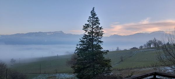Déconnectez en Chartreuse! Alpes françaises Isère 38